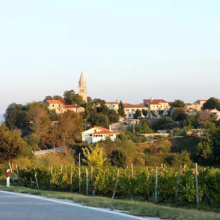 Holiday House With A Parking Space Gracisce, Central Istria - Sredisnja Istra - 7196 Holiday home Gracisce